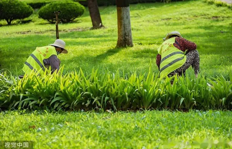 草坪式园林景观设计特点